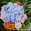 20080607_Flowers_0060.jpg