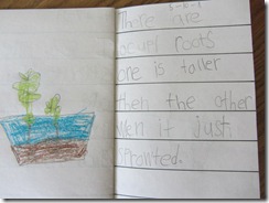IMG_0666 IMG_0666
