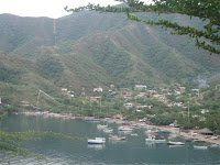 IMG_1390.jpg