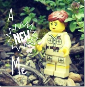 legobannerintrepidavatartextFB