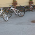 Fahrradprüfung - Herbst - 2010
