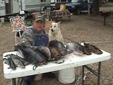 [th_harmNdillFish0405KL48a%255B2%255D.jpg]