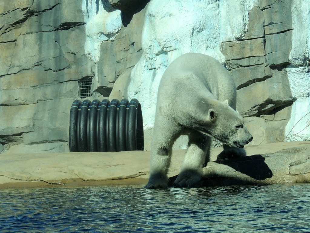 [DSCN2069%255B3%255D.jpg]