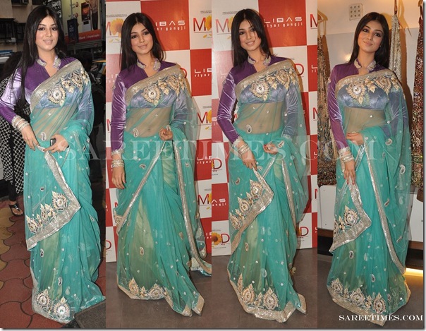 Ayesha_Takia_Designer_Shimmer_Saree