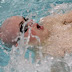 IMG_8924.jpg