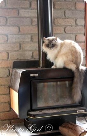fireplace cat #2