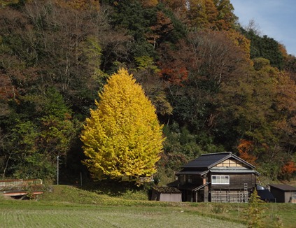 DSC01361 DSC01361