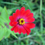 20100815_059_small.JPG