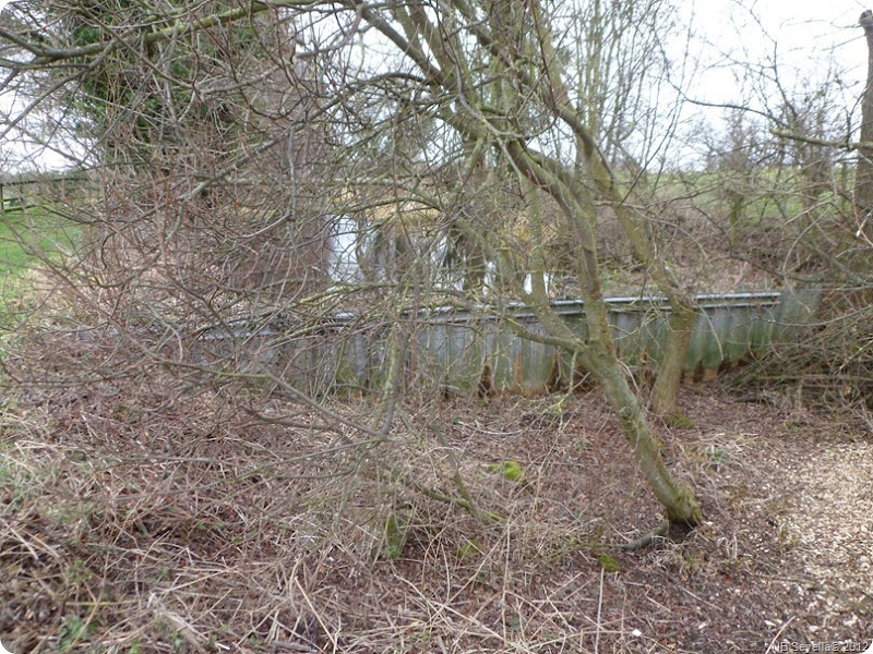 SAM_0004 Piling Dam SAM_0004 Piling Dam