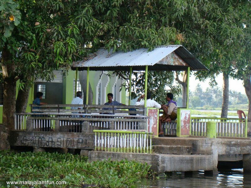 Oru Kuttanadan Yathra: The scenic view of Kerala(South India)