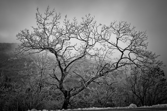 _MG_5304.jpg
