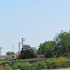 IMG_9624.JPG
