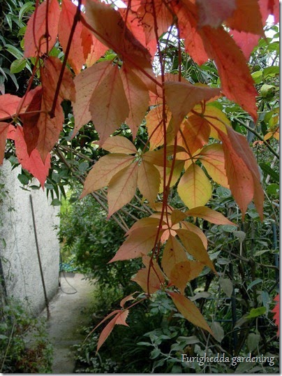 DSCN9216 DSCN9216