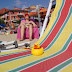 DSC01146.JPG