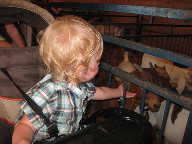 [IMG_7404%255B3%255D.jpg]