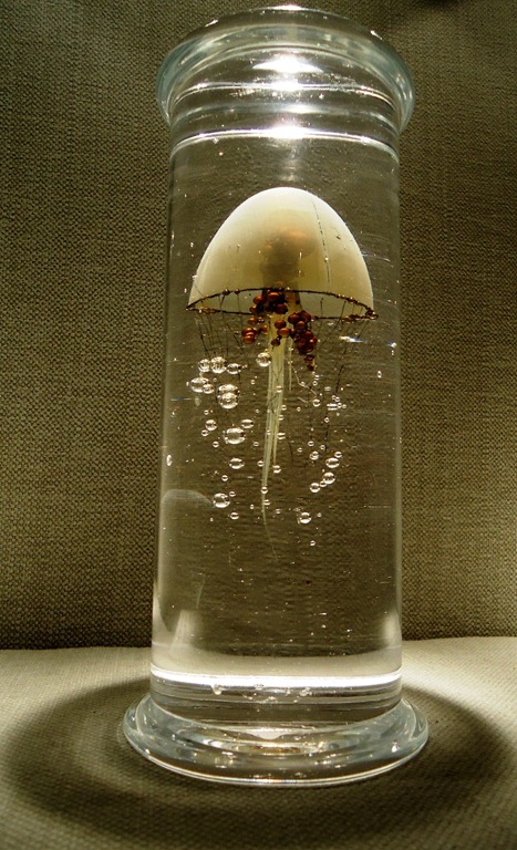 [2012%2520Tefaf%252024%255B4%255D.jpg]