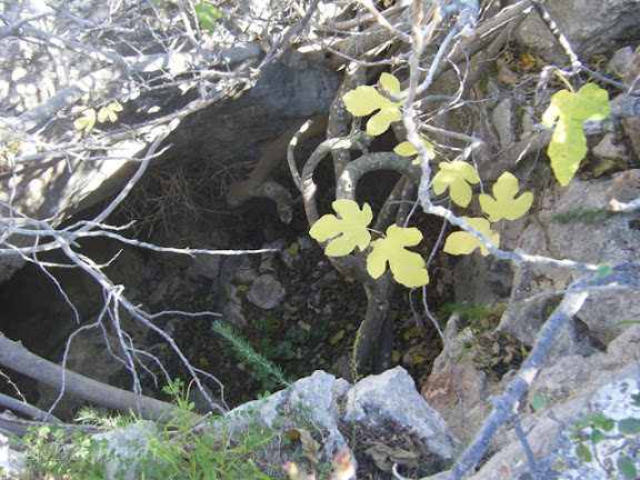 2012_03070014.jpg