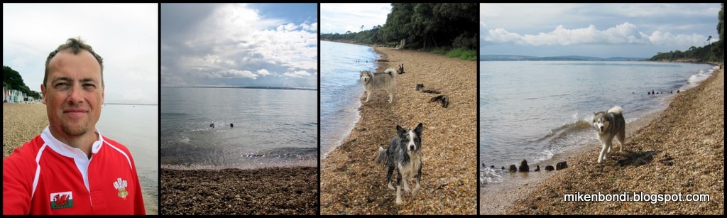 [Calshot-beach---Michael-in-Cymru-rug.jpg]