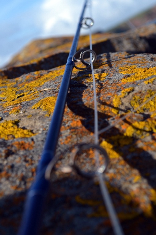 [DSC_4076%255B4%255D.jpg]