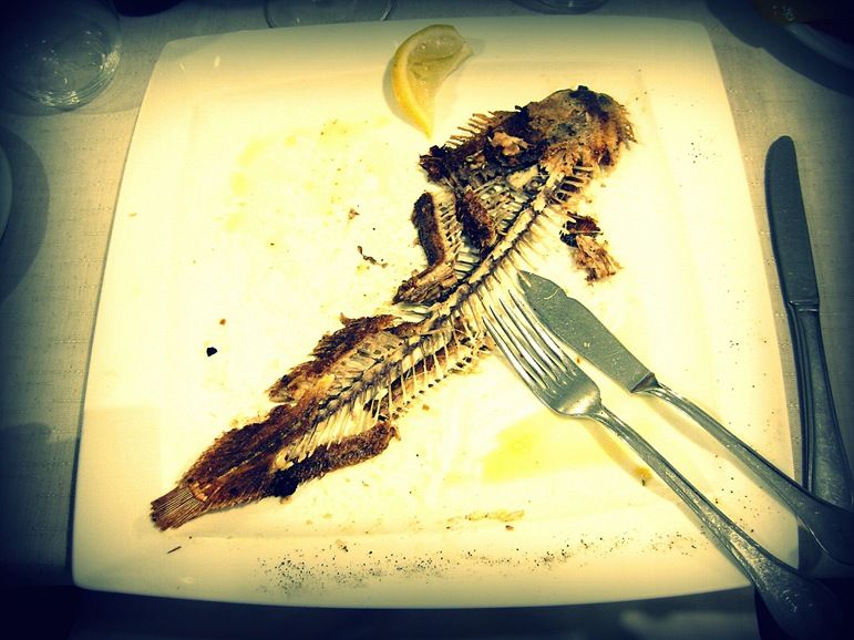 Finished plate of fish Finished plate of fish