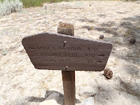 P8100326.JPG