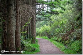 Silent Valley, Irlanda do Norte (3)