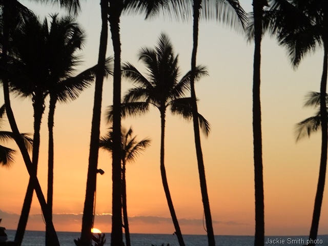 [hawaii2012%2520040%255B19%255D.jpg]