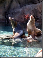 IMG_0125 IMG_0125