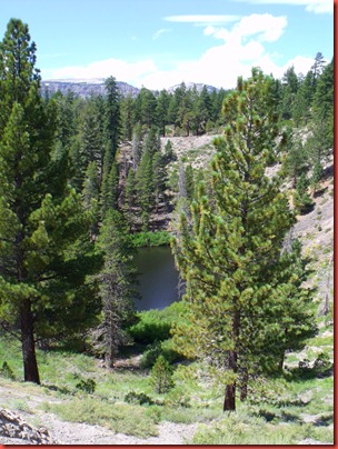 mammoth 098