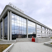 cafenoire 01 .jpg