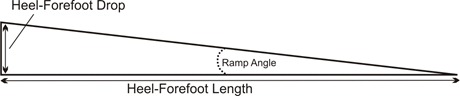 Heel Forefoot Measures