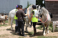 IMG_9254.JPG Photo