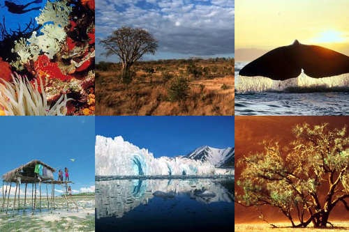 [17-12-2011-biodiversity_sml%255B5%255D.jpg]