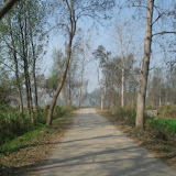 Land Haridwar