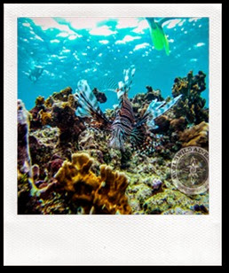 DCIM\101GOPRO DCIM\101GOPRO