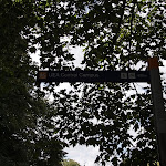 P7240786.JPG
