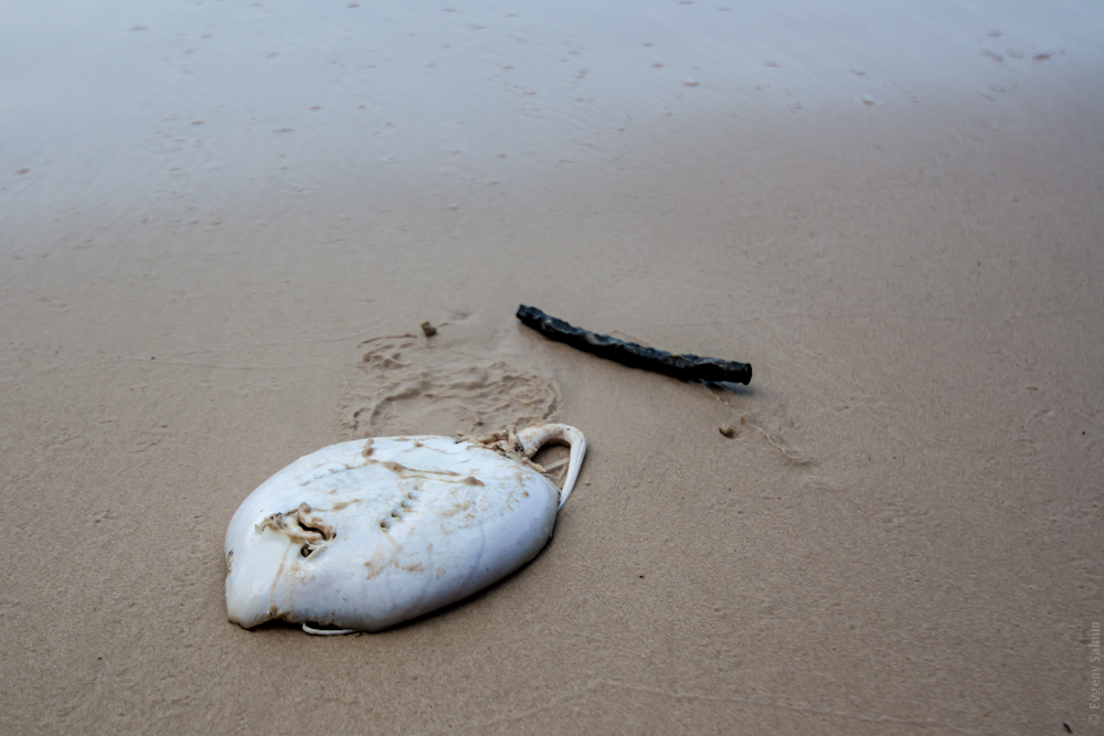 Лангкави, Малайзия - август 2012 (ч.2 - Пляжи)