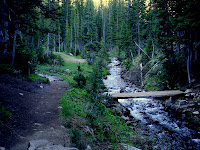 The bridge to the maybird lakes