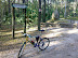 Promem z Tarchomina do Łomianek, Kampinos - rower g&oacute;rski