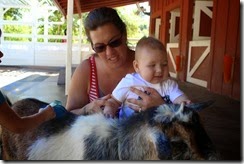 IMG_6618 IMG_6618