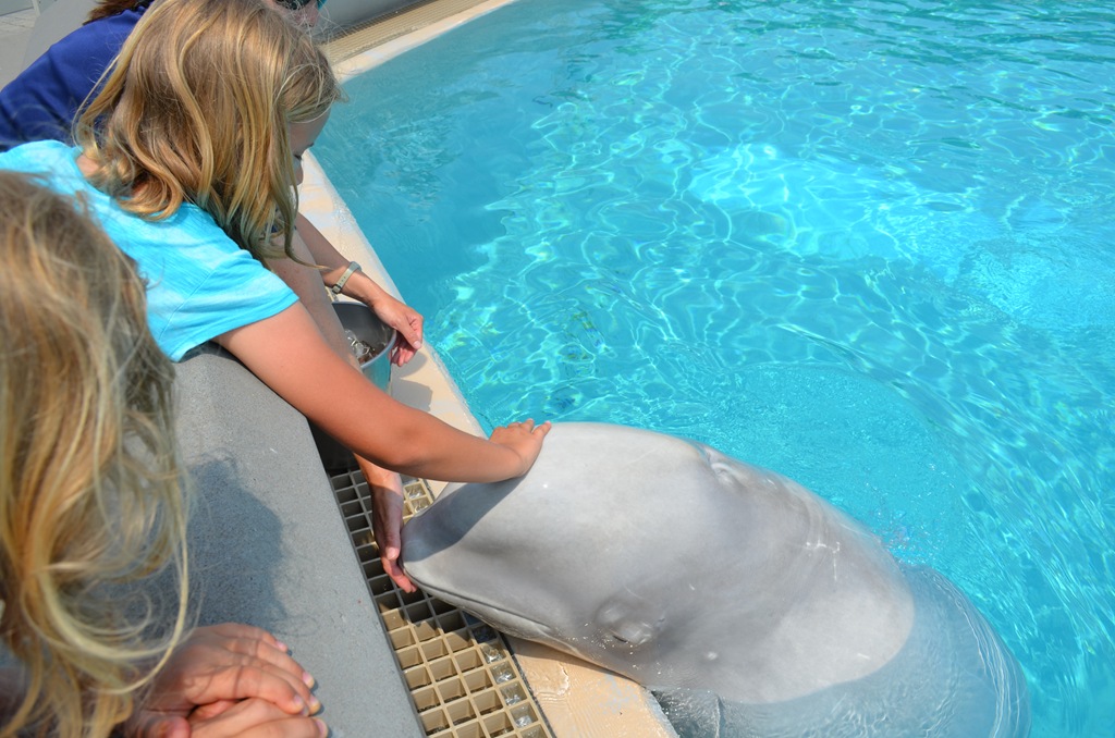 [DSC_1736%255B3%255D.jpg]