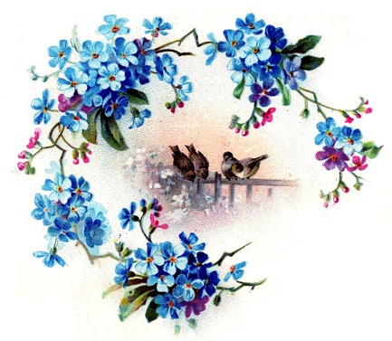 birds flowers vintage image graphicsfairy009b