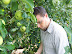 Picking Apples