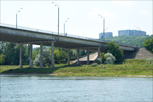 437_1386.jpg