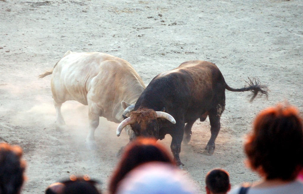 [DSC_9803%255B4%255D.jpg]