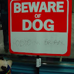 HairOfTheDog-Jan2011 080.jpg