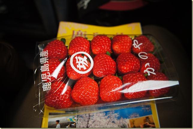 DSC01753 DSC01753