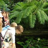 N&aacute;v&scaron;teva botanickej z&aacute;hrady