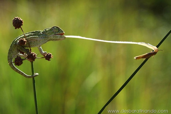 sony-world-photography-awards-2013-33 sony-world-photography-awards-2013-33