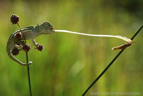 sony-world-photography-awards-2013-33